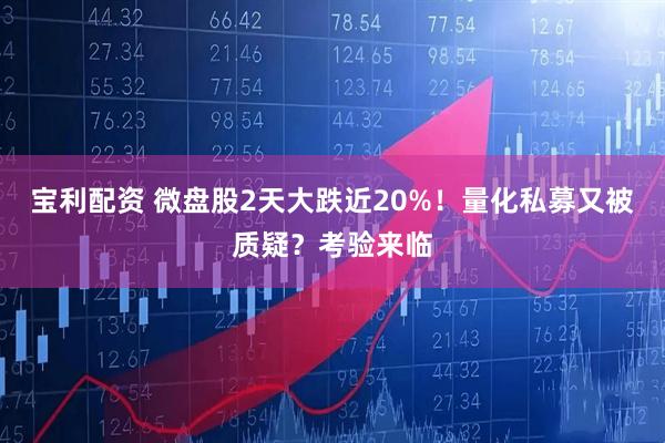 宝利配资 微盘股2天大跌近20%！量化私募又被质疑？考验来临