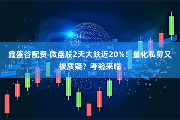 鑫盛谷配资 微盘股2天大跌近20%！量化私募又被质疑？考验来临