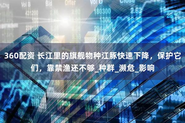 360配资 长江里的旗舰物种江豚快速下降，保护它们，靠禁渔还不够_种群_濒危_影响