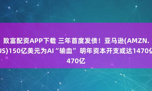 致富配资APP下载 三年首度发债!亚马逊(AMZN.US)150亿美元为AI“输血” 明年资本开支或达1470亿