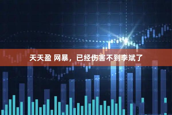 天天盈 网暴，已经伤害不到李斌了